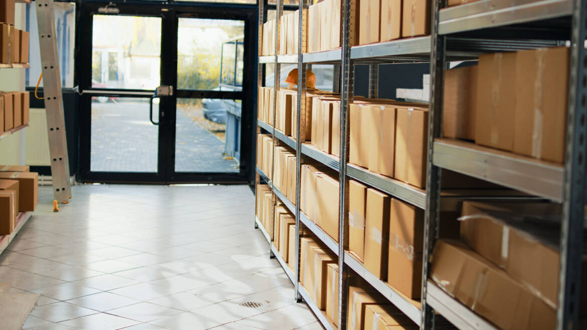Expert Handling: Why Professional Storage Services Matter